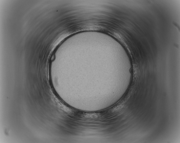 X0000103140843200809121752