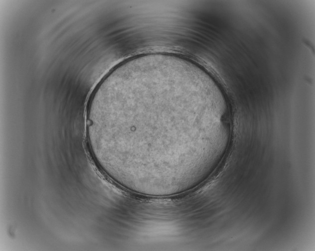 X0000103140844200809121752