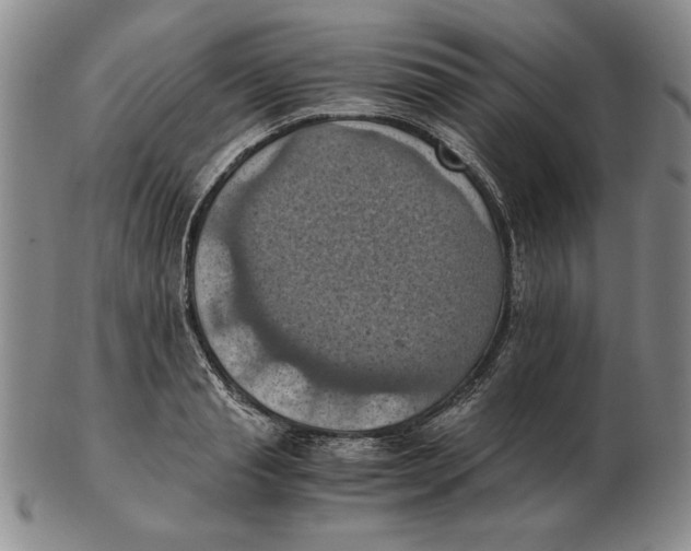 X0000103140845200809121752