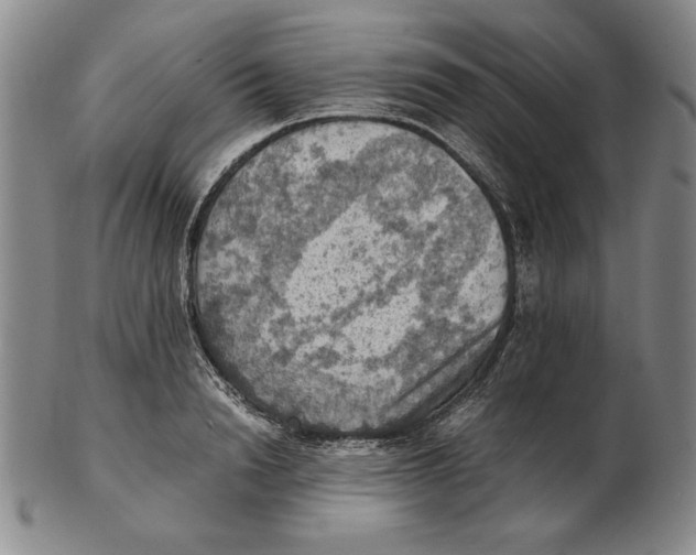 X0000103140846200809121752