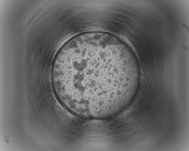 X0000103140847200809121752