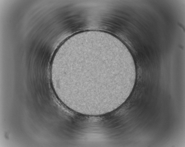 X0000103140848200809121752