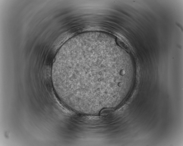 X0000103140849200809121752