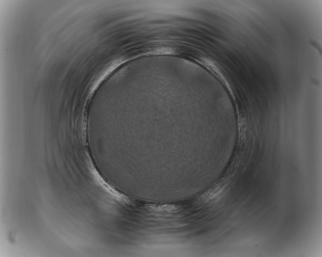 X0000103140851200809121752