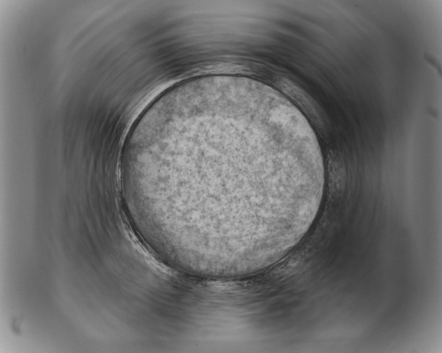 X0000103140852200809121752