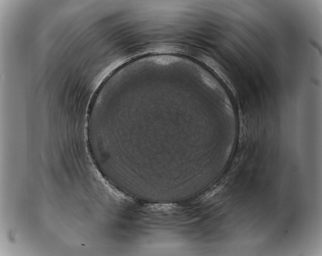 X0000103140853200809121752