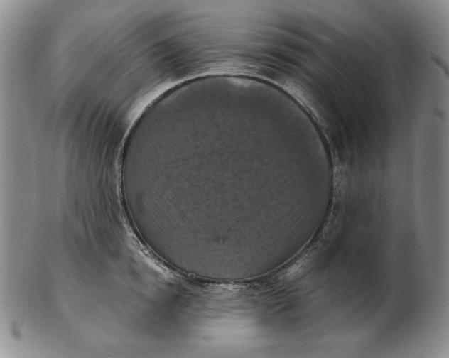 X0000103140854200809121752