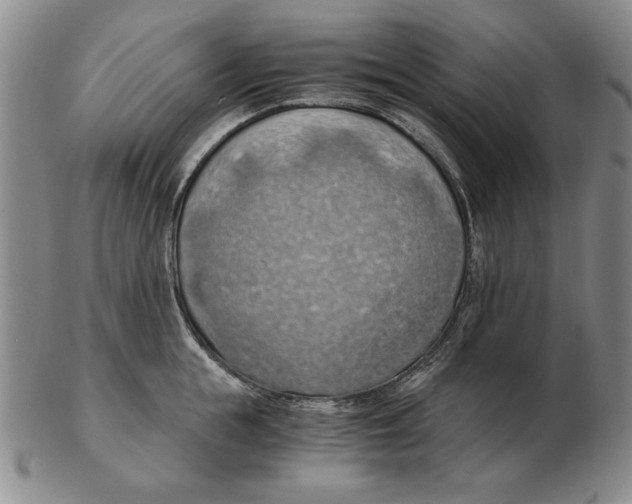 X0000103140855200809121752