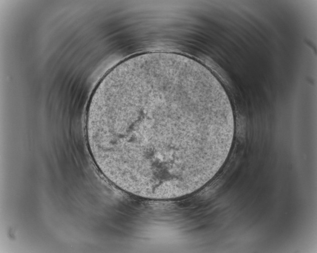 X0000103140856200809121752