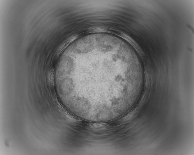 X0000103140857200809121752