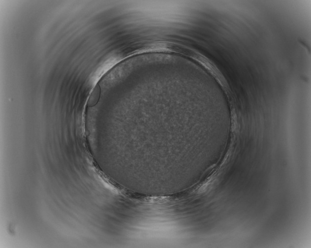 X0000103140858200809121752