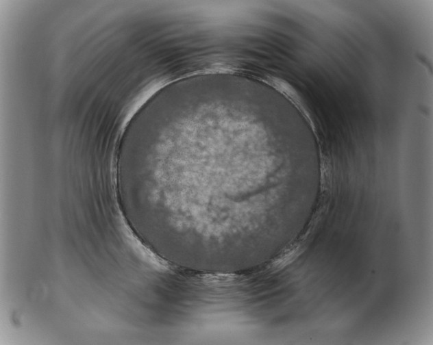 X0000103140859200809121752