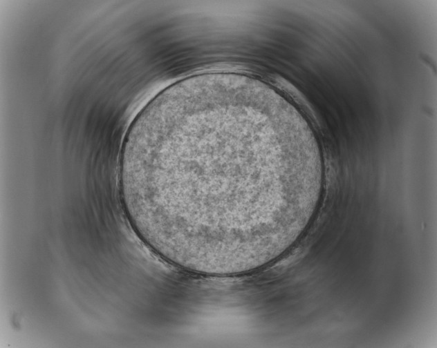 X0000103140860200809121752