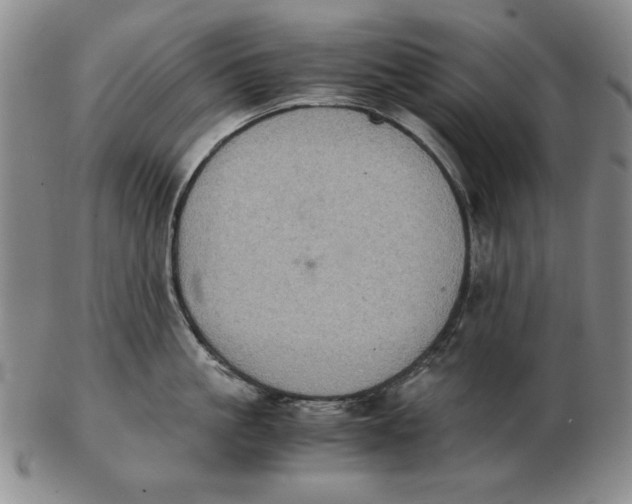 X0000103140861200809121752