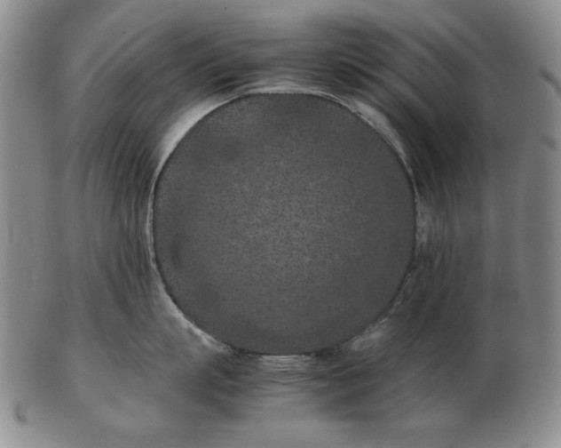 X0000103140863200809121752