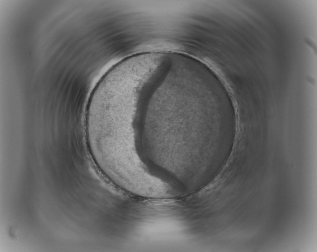 X0000103140864200809121752