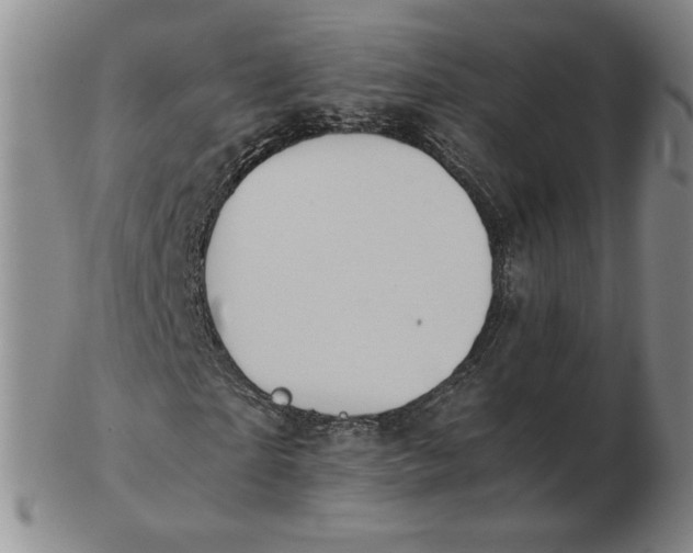 X0000103140865200809121752