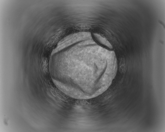 X0000103140866200809121752