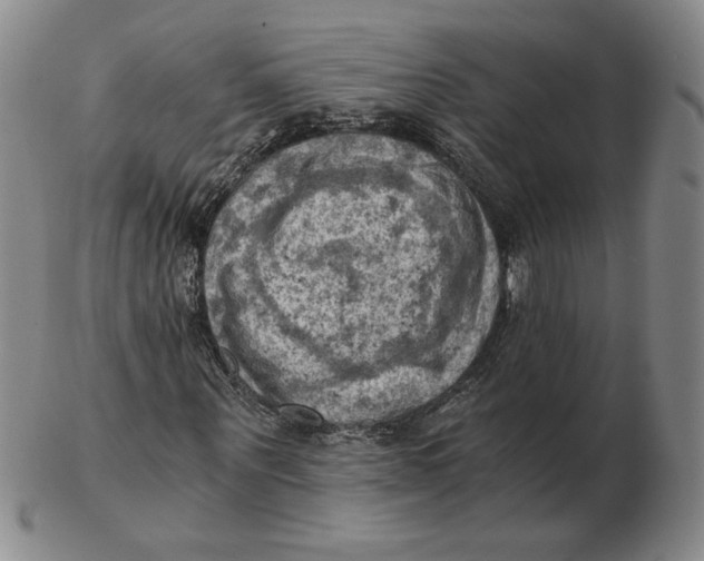 X0000103140867200809121752