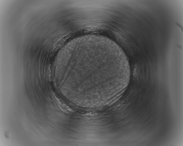 X0000103140868200809121752