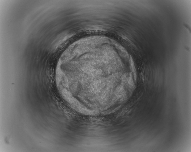 X0000103140870200809121752