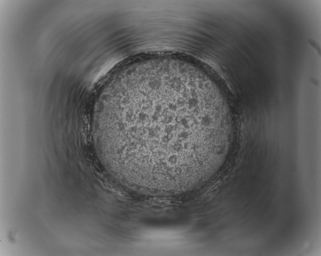 X0000103140871200809121752