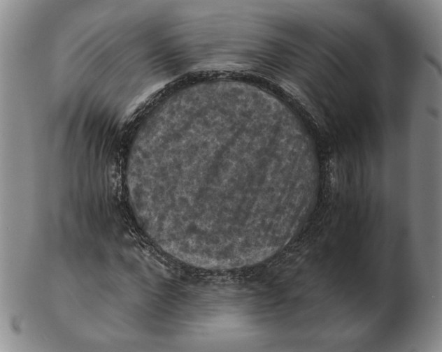 X0000103140872200809121752