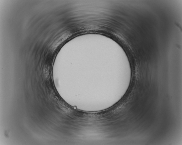 X0000103140873200809121752