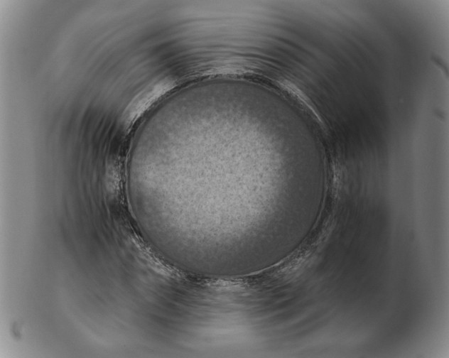 X0000103140874200809121752