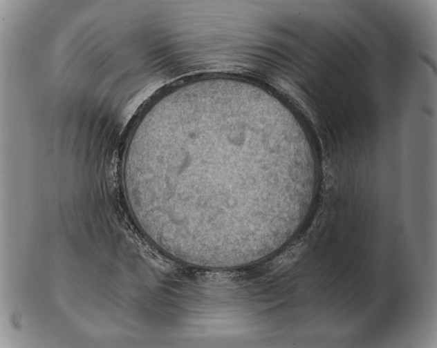 X0000103140875200809121752