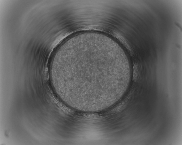 X0000103140876200809121752