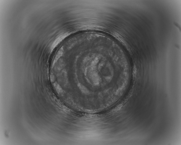 X0000103140877200809121752