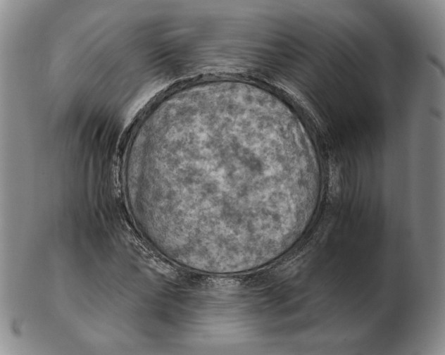 X0000103140878200809121752