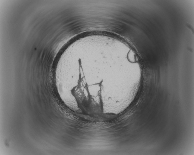 X0000103140879200809121752