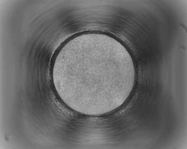 X0000103140880200809121752