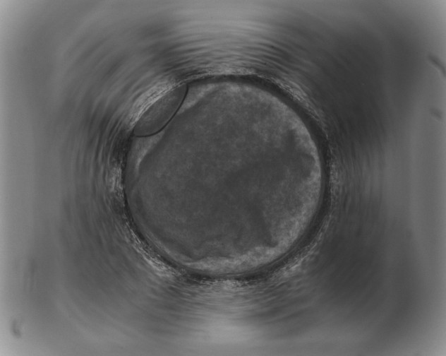 X0000103140881200809121752