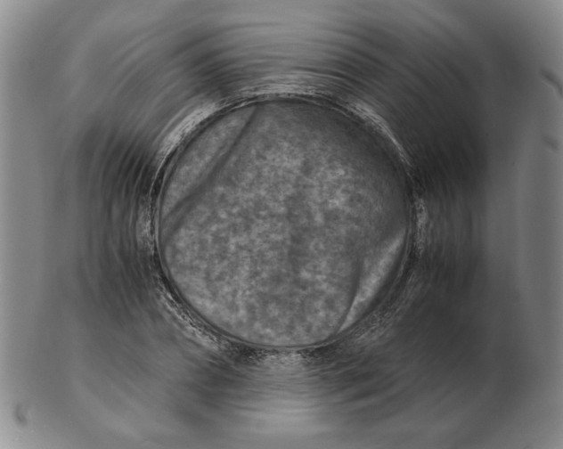 X0000103140882200809121752