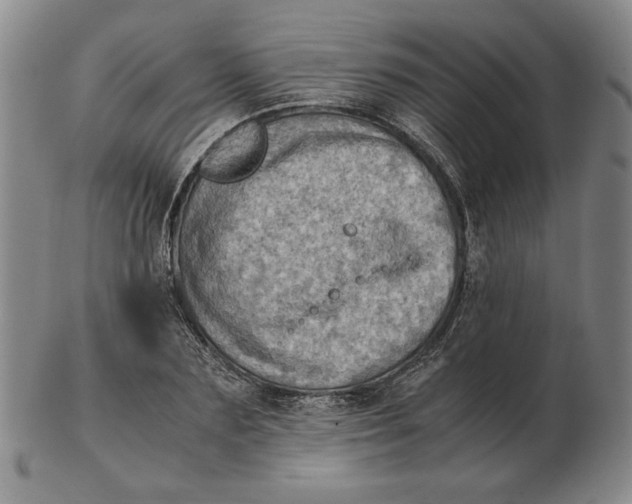 X0000103140883200809121752