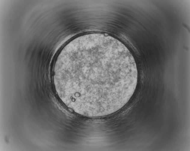 X0000103140884200809121751