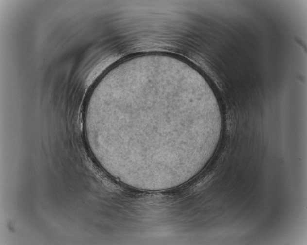 X0000103140885200809121751