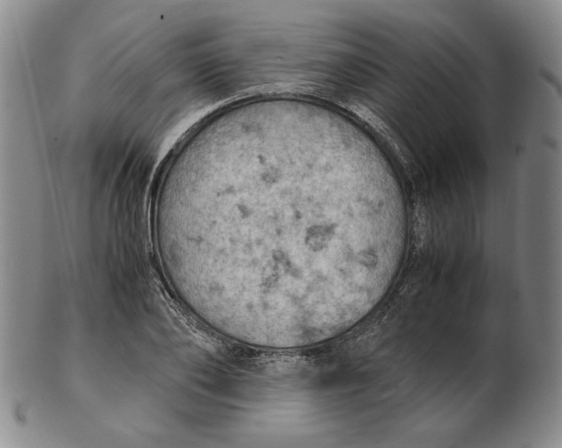 X0000103140886200809121751