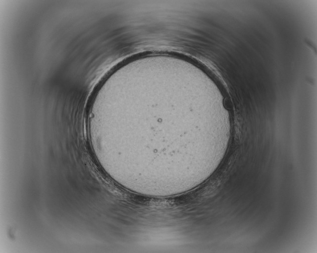 X0000103140887200809121751