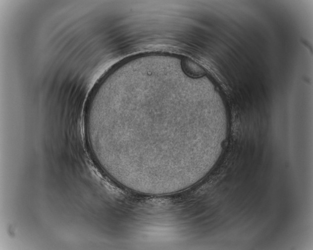 X0000103140888200809121751