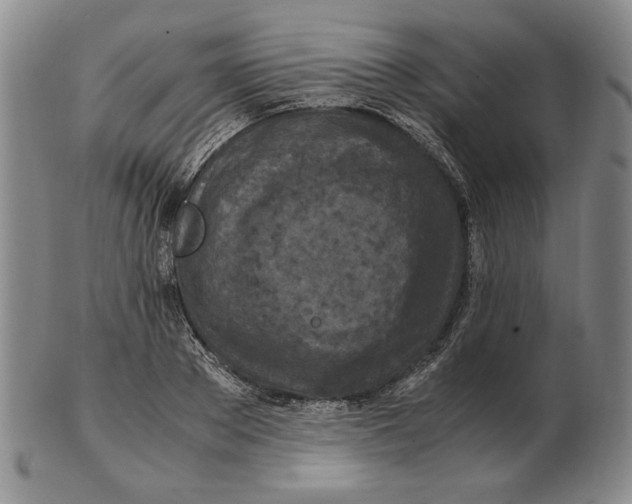 X0000103140889200809121751