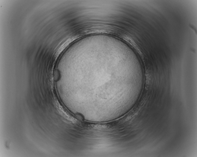 X0000103140890200809121751