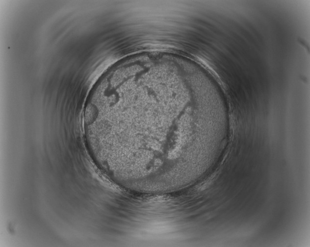 X0000103140891200809121751