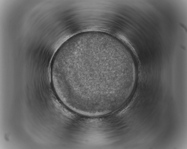 X0000103140892200809121751