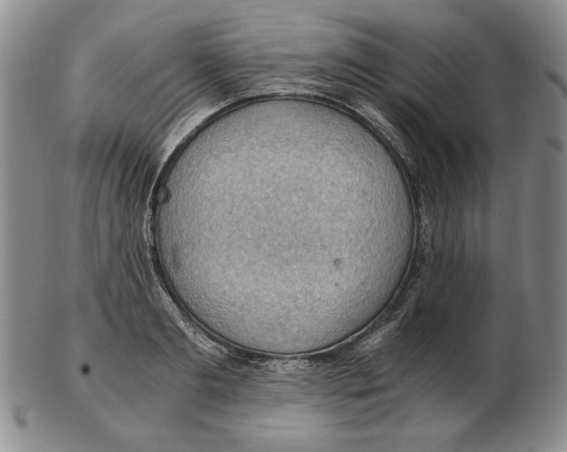 X0000103140893200809121751