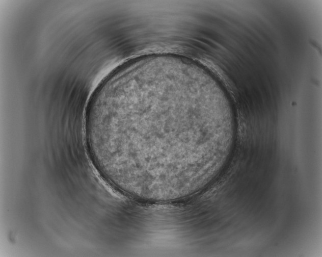 X0000103140894200809121751