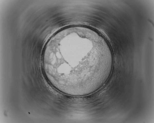 X0000103140895200809121751